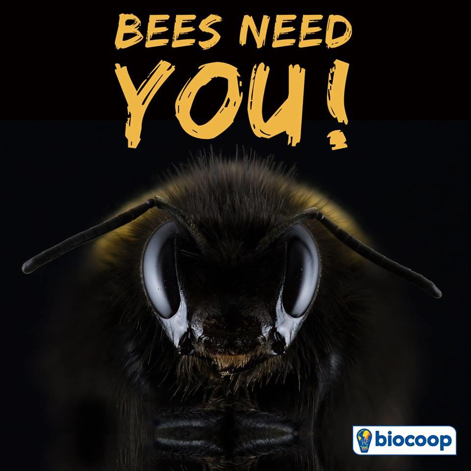 Projet #POLLEN2020 : Biocoop recrute !