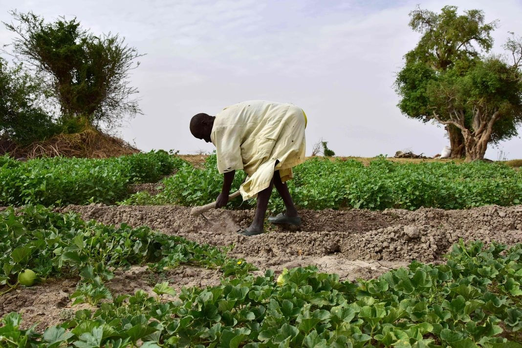 « Climat : l’agriculture fait partie de la solution » « Climat : l’agriculture fait partie de la solution »